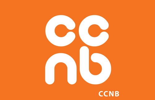 BMM Testlabs Provides Jobs to CCNB ‘Testing Curriculum’ graduates